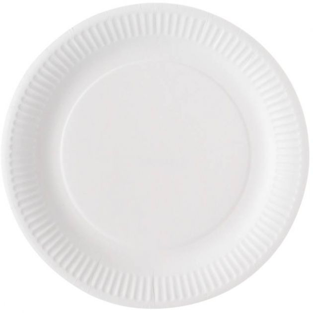 Assiette jetable blanche carton biodégradable x100