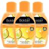 Désodorisant flacon mèche 375 ml Boldair - lot de 3