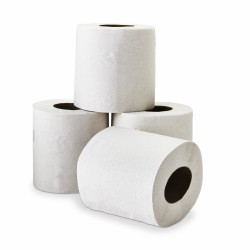 Papier toilette recyclé 2 plis blanc 96 rouleaux Ecolabel