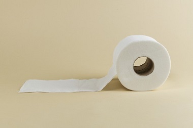 Où acheter du papier toilette pour professionnels ?