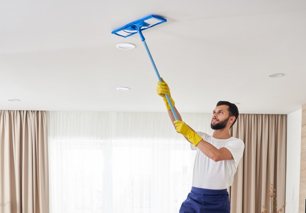 Détergent nettoyant professionnel anti-moisissure murs de salle de